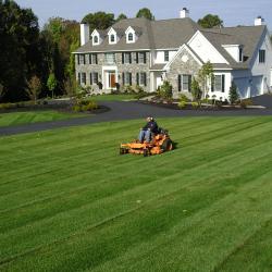 Lawn and Landscaping