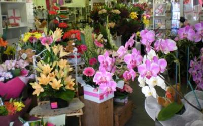 Florist Category Image