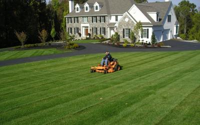 Lawn and Landscaping